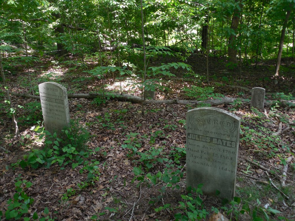Julius Bates Cemetery
Crandall, GA