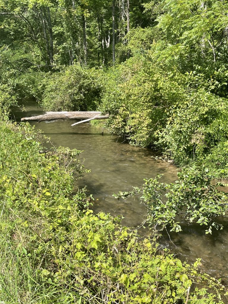 Stecoah Creek