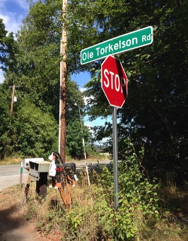 Ole Torkelson Road