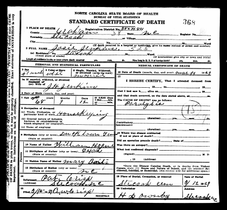 Family Focus #5 - Josie DC