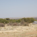 A view from our campsite.